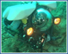 Геленджик, подводный аппарат РТМ500